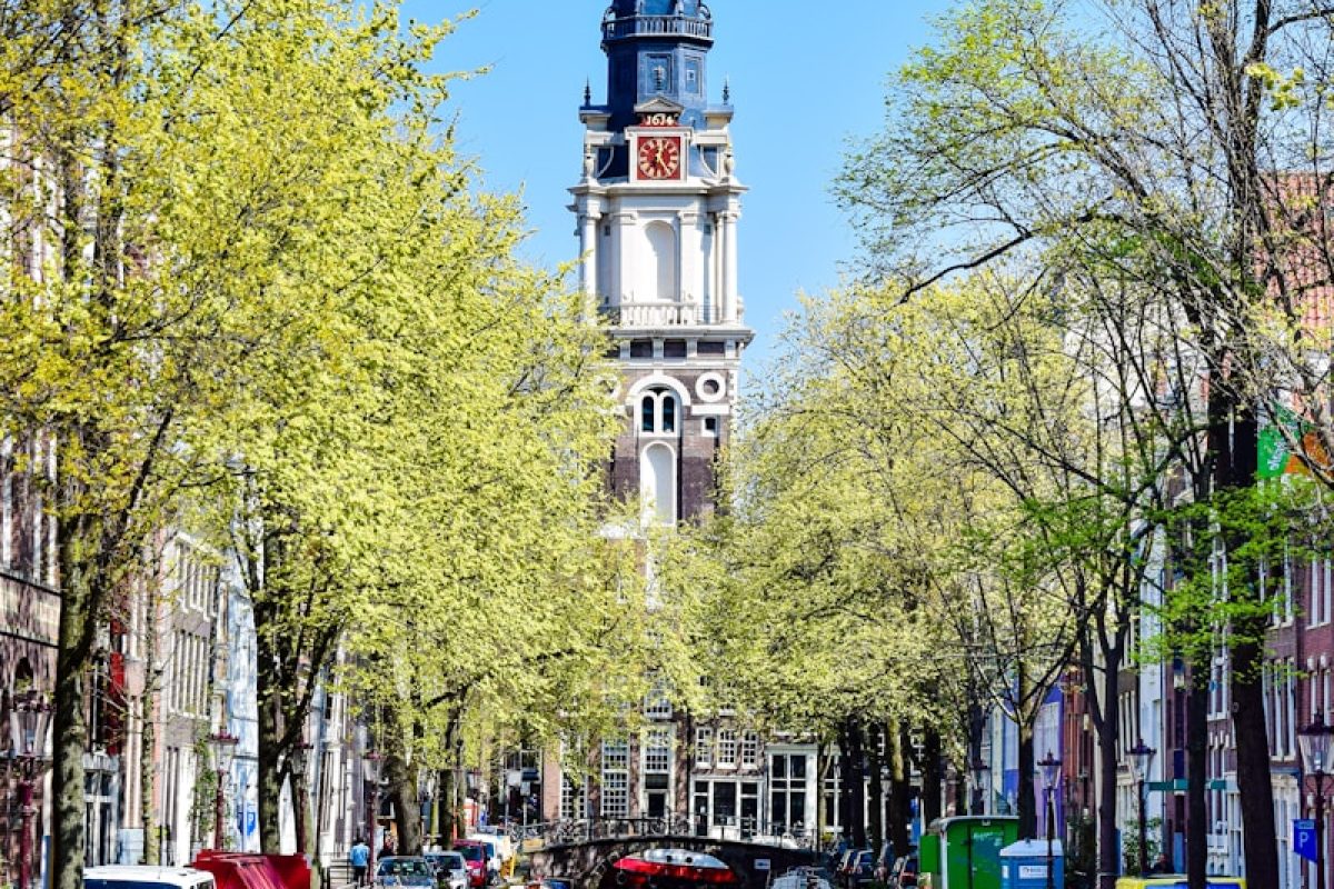 a river with boats and trees along it